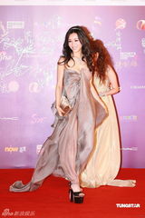 幻灯：香港金像奖颁奖红毯 张静初长裙飘逸