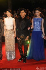 组图：徐帆着金色长裙高贵典雅 携王学圻走红毯