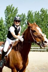 组图：哈文晒全家福 李咏扮帅爸女儿俏丽