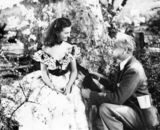 组图：费雯-丽诞辰百年 百张美图再现佳人一生