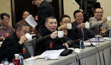 组图：2013两会艺术家的激情澎湃