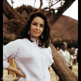 组图：追忆玉婆 伊丽莎白-泰勒影像图集