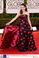 组图：典礼主持人蒂娜-菲&艾米-波勒知性气质