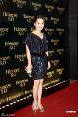 幻灯图：陈乔恩出席活动 香槟礼服雍容华贵 