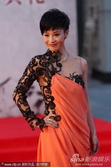 第21届金鸡百花电影节红毯女星争艳