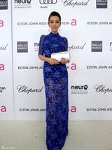 组图：李冰冰赴名利场晚宴 奥斯卡战衣获评好评