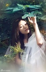 组图：田原坚持自我创作注重女性内心独白