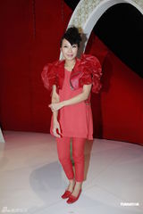 组图：蒙嘉慧为节目录影 与郑伊健共识不生小孩