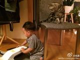 组图：姚晨儿子小土豆帅萌出镜 爱猫变身喵保姆