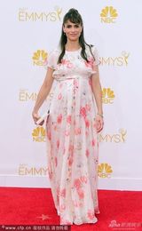 组图：女星阿曼达-皮特携老公亮相艾美红毯