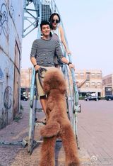 组图：霍思燕杜江秀爱犬合照 爱心满溢