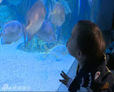 组图：贾乃亮为博女儿一笑 表演潜水险晕倒