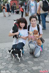 组图：林忆莲出席狗狗同乐日 陈嘉桓呼吁领养