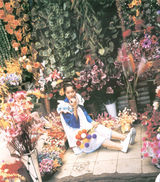 组图：日本女星宫崎葵曾赴云南拍摄唯美写真