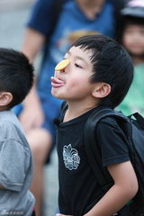 组图：爸爸面瘫式选房大战 黄磊看上三十岁猴子