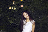 组图：蔡文静丛林写真曝光 白裙纯净宛若精灵