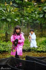 组图：爸爸开启丛林大冒险 金曲歌王曹格落泪