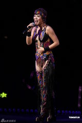 组图：丁当小巨蛋开唱任贤齐助阵 与杜德伟热舞