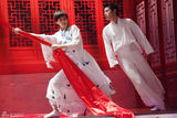 组图：戴娇倩再现《梁祝》 首展舞姿惊艳四座