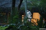 组图：众球员裸泳不亦乐乎 记者偷拍照曝光