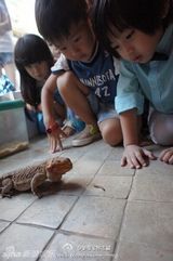 组图：Kimi五岁生日派对变昆虫课 勇敢手拿大蛇