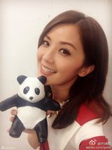 组图：千只纸熊猫空降香港 众星卖萌合影倡环保