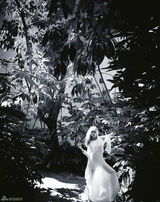 组图：蜘蛛女邓斯特真空登封面 写真清新优雅