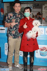 组图：江美仪激光去斑带口罩 望带爱狗去旅游