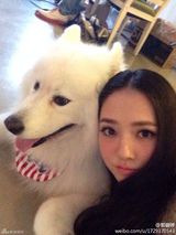 组图：郭碧婷长发女神范 抱狗狗疯狂示爱遭嫌弃