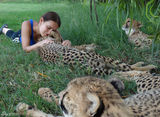 组图：女记者亲密接触动物 和狼接吻与豹同眠