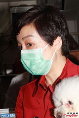 组图：江美仪激光去斑带口罩 望带爱狗去旅游