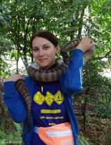 组图：女记者亲密接触动物 和狼接吻与豹同眠