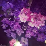 组图：许巍英国音乐之旅 自在享生活 Part4