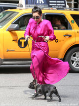 组图：Gaga扮贵妇激凸秀奶 爱犬戴霸气钻石项链