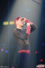 组图：张智霖开唱裸身美女环伺 袁咏仪领衔助威