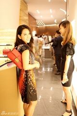 组图：何洁出席活动优雅形象受青睐