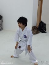 组图：吴镇宇爱子费曼学空手道 认真帅气