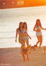 组图：AKB48穿泳衣与狗拍写真 身材热辣喷鼻血
