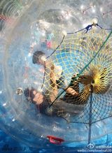 组图：陈浩民一家四口出游 女儿美艳儿子呆萌