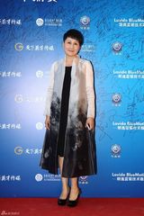 组图：电视华鼎奖红毯 郑爽仙气佟丽娅美艳