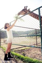 组图：李菲儿夏日清凉装扮 与萌宠互动显爱心