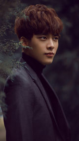 手机壁纸：百变李易峰