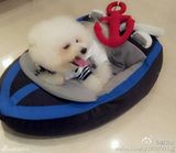 组图：蔡依林微博三宝 钢管屋虎做蛋糕