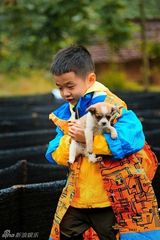 组图：爸爸开启丛林大冒险 金曲歌王曹格落泪