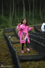 组图：一个奶爸六个娃 谁会当选超级奶爸？