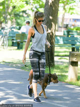 组图：吉赛尔-邦辰运动装街头遛狗 享悠闲时光