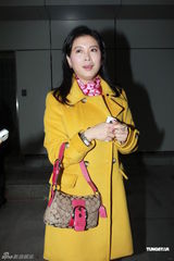 组图：前夫何东舜铭拖欠赡养费 陈复生为离婚案上庭