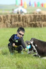 组图：《爸爸2》萌娃奶爸集体变身“挤奶工”