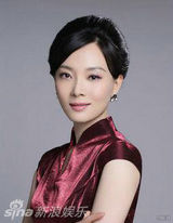 组图：舞台上变脸整容的女主角 梅婷陈数刘晓庆