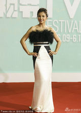 组图：“好女人”刘涛微笑亮相上海电视节